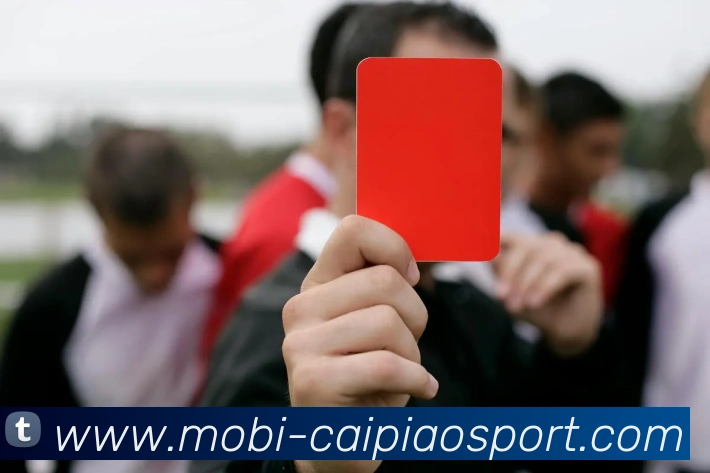 大发彩票APP 高清赛事图