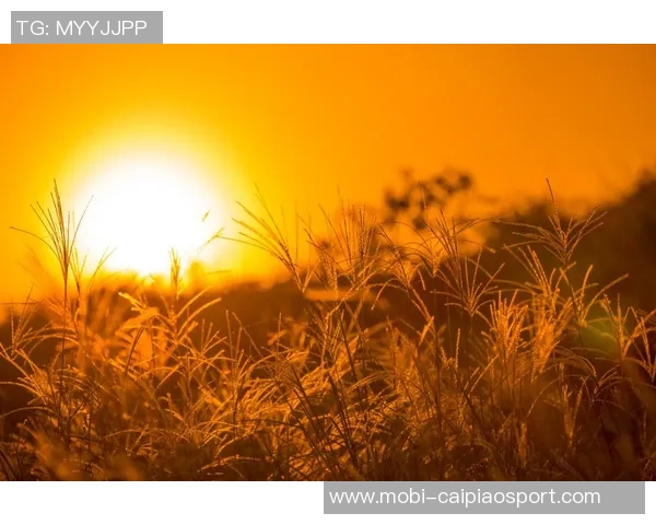 早晨的第一缕阳光照亮未来希望黑暗即将消散迎接崭新篇章 早晨的第一缕阳光照亮未来希望黑暗即将消散迎接崭新篇章